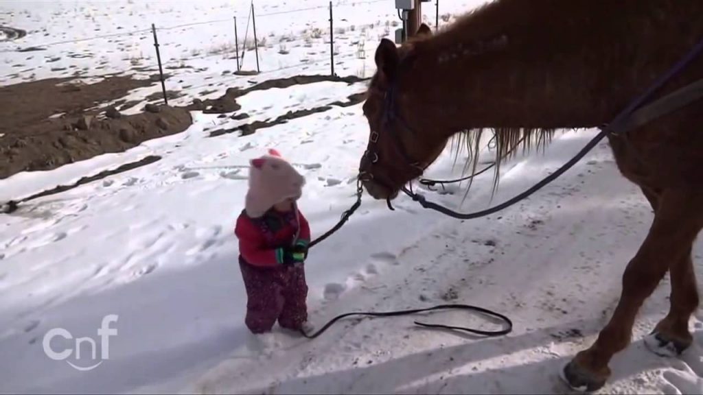 Emma är ute och promenerar med sin häst. När du ser dem två tillsammans kommer ditt hjärta smälta.